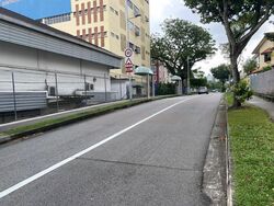 Cheong Chin Nam Road (D21), Semi-Detached #458061451